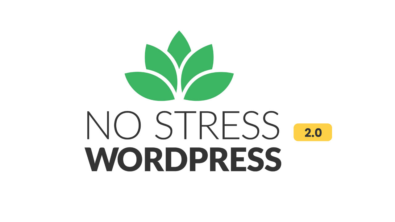 Dave Foy – No Stress WordPress 2.0