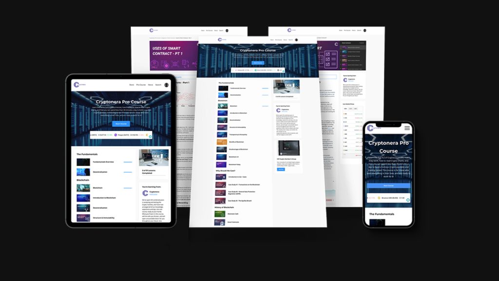 Learn How to Trade Cryptocurrency like a Professional