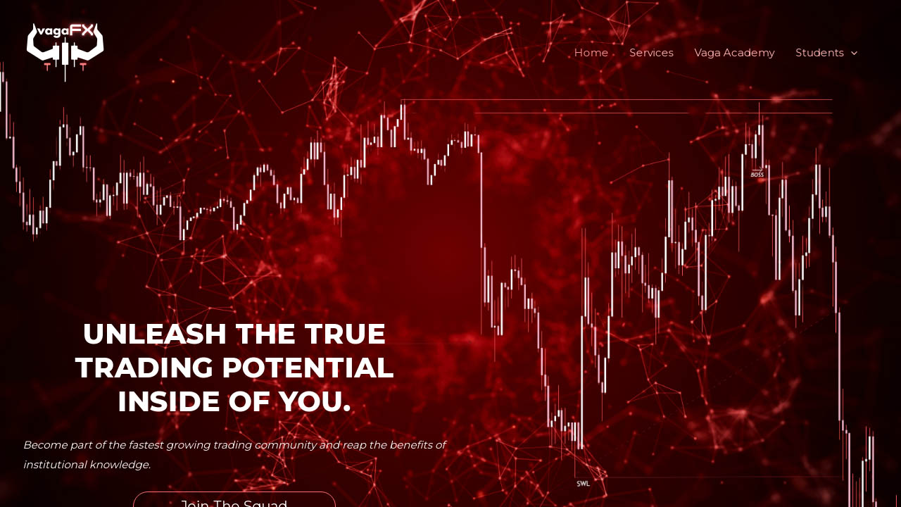 VAGAFX – Vaga Academy