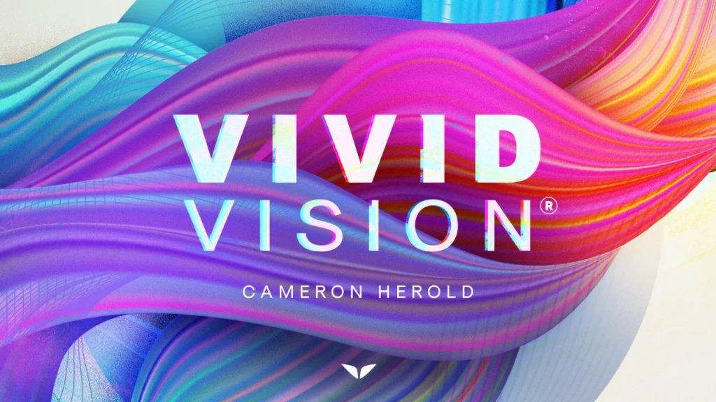 MindValley – Vivid Vision