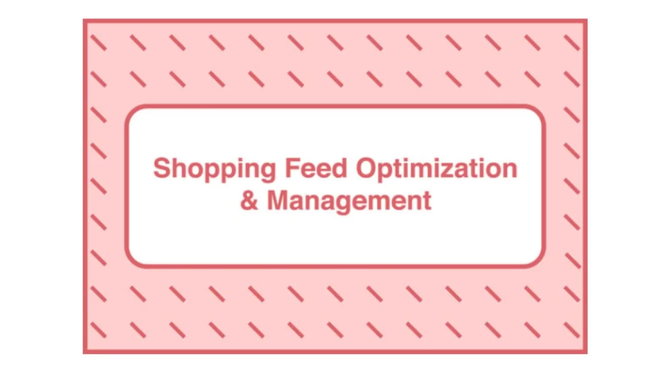 Take Some Risk – Shopping Feed Optimization and Management